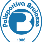Bruinese